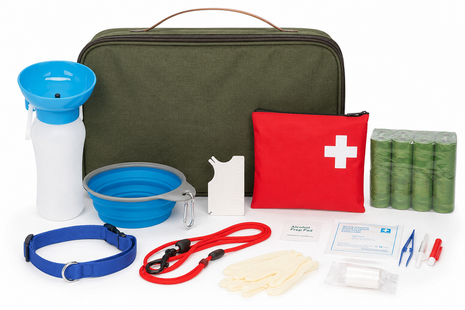 Wander- & Outdoorbox für Hunde