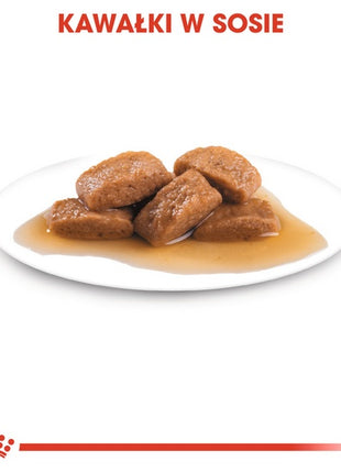 Royal Canin Maxi Adult karma mokra w sosie dla psów dorosłych, do 5 roku życia, ras dużych saszetka 140g