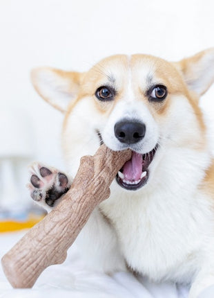 Petstages DogWood petite patyk PS216