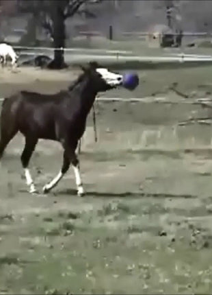 Jolly Ball Groen (appel)