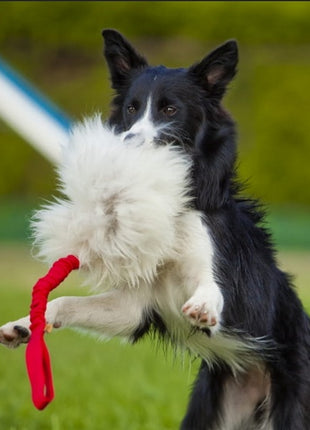 Dingo Zabawka dla psa - Szarpak Naturalne futro owcze bungee różowy