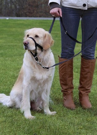 Trixie Uprząż Top Trainer S 22cm [13002]