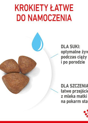 Royal Canin Mini Starter Mother&Babydog karma sucha dla szczeniąt do 2 miesiąca i suk karmiących ras małych 4kg