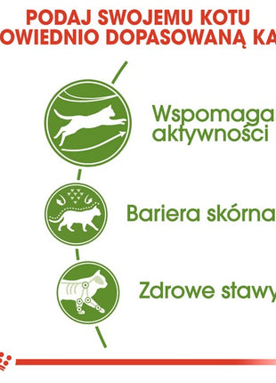 Royal Canin Outdoor karma sucha dla kotów dorosłych, wychodzących na zewnątrz 2kg