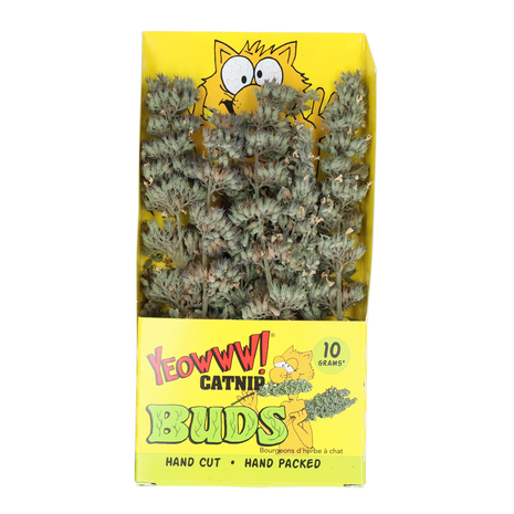 Yeowww! Catnip Buds