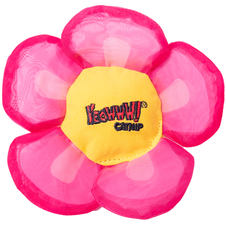 Yeowww! Daisy's Flower Tops Pink