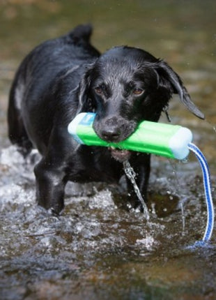 Chuckit! Amphibious Bumper Medium [18300]