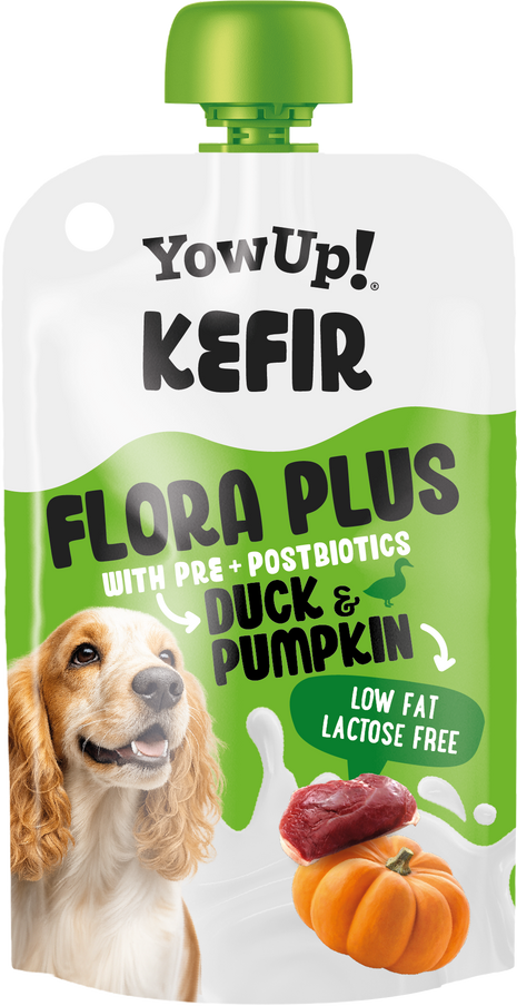 Yowup! Kefir Eend & Pompoen (hond)