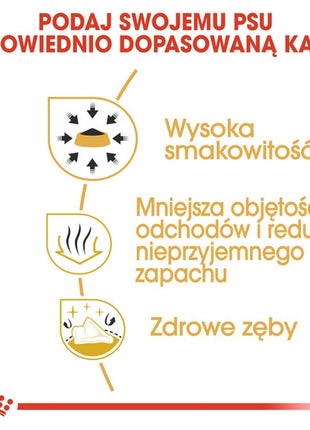 Royal Canin Chihuahua Adult karma sucha dla psów dorosłych rasy chihuahua 0,5kg