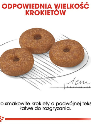 Royal Canin Mini Ageing 12+ karma sucha dla psów dojrzałych po 12 roku życia, ras małych 3,5kg