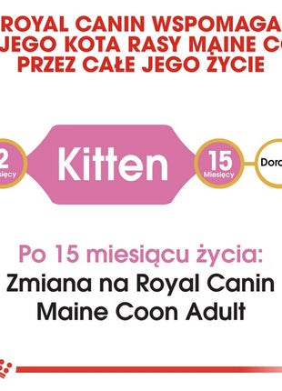 Royal Canin Maine Coon Kitten karma sucha dla kociąt, do 15 miesiąca, rasy maine coon 4kg