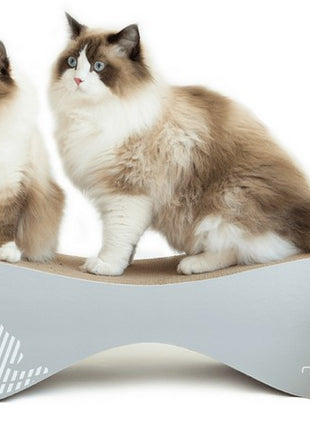 MyKotty Drapak Vigo siwy