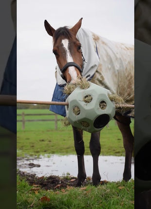 Excellent Horse Feed & Play Ball Paars