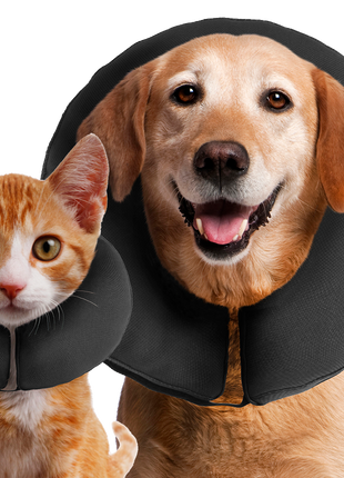 Zenpet ProCollar