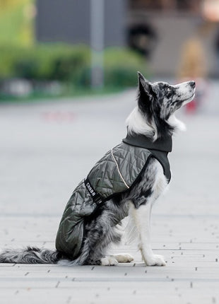 Chaba Kubrak Regulowany Chic 3XL khaki