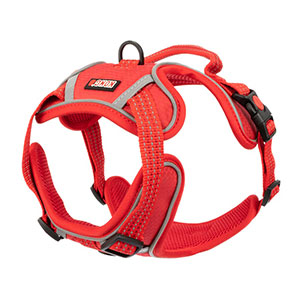 KONG Control Harness