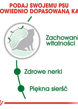 Royal Canin Mini Ageing 12+ karma sucha dla psów dojrzałych po 12 roku życia, ras małych 3,5kg
