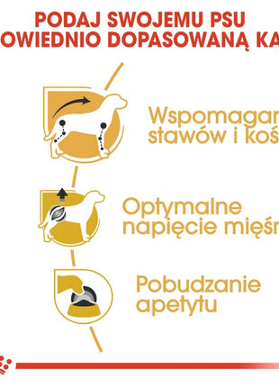 Royal Canin Dachshund karma mokra - pasztet, dla psów dorosłych rasy jamnik saszetka 85g