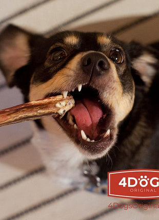 4DOGS Gryzak z penisa wołowego L