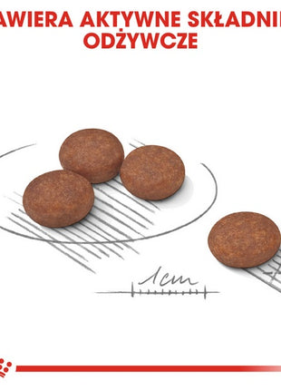 Royal Canin Mini Digestive Care karma sucha dla psów dorosłych, ras małych o wrażliwym przewodzie pokarmowym 3kg