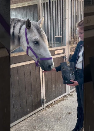 Excellent Horse Ambachtelijke Paardenkoekjes Appel