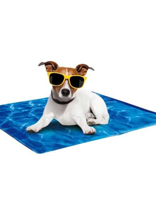 All for Paws Chill Out Always Cool Kühlmatte für Hunde