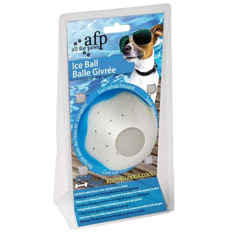 All for Paws Chill Out Ice Ball
