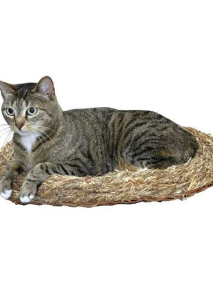 Kerbl Grasbett für Katzen
