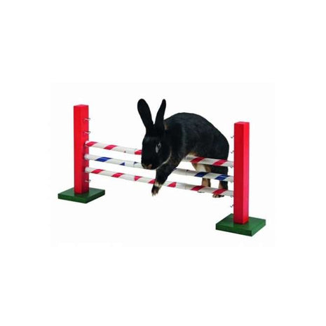 Agility Steilsprung für Nager