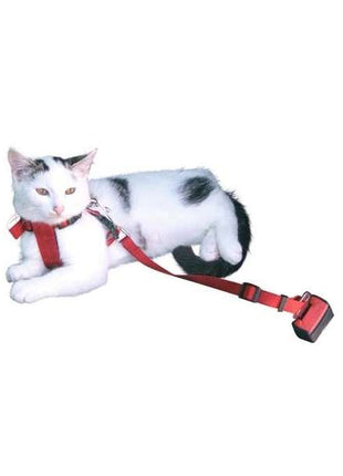 Autosicherheitsgurt für Katzen rot, größenverstellbar