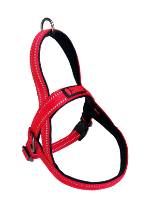 KONG Norwegian Harness