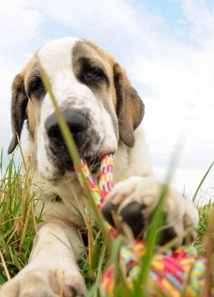 Dingo Piłka plecionka ze sznura 250g/27cm