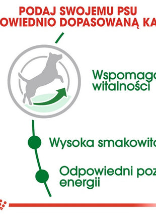Royal Canin Mini Adult 8+ karma sucha dla psów starszych od 8 do 12 roku życia, ras małych 800g