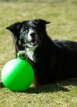 PROCYON Treibball Größe S