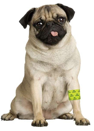 Bandage Petflex No Chew
