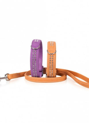 Karlie Buffalo Strass-Halsband