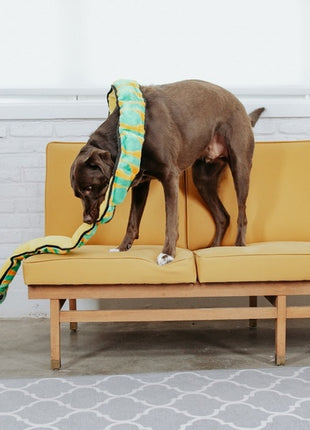 Outward Hound Invincibles Snake orange/green 12 piszczałek [32005]
