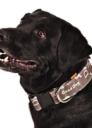 Dingo Obroża regulowana America Nevada 4,0cm/75cm