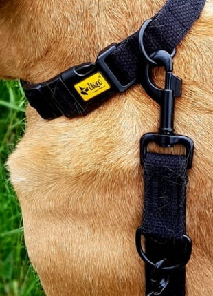 Dingo Obroża regulowana z taśmy bawełnianej 2,5x55cm czarna