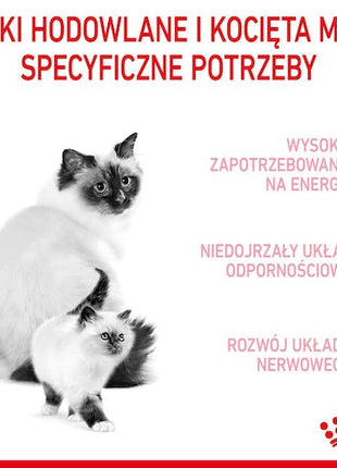 Royal Canin Mother&Babycat karma sucha dla kotek w okresie ciąży, laktacji i kociąt od 1 do 4 miesiąca 2kg