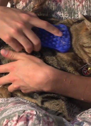 Pet+Me Dog Hair Brush Kort haar Geel
