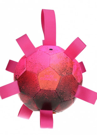Dog Comets Ball Hypernova