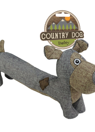Country Dog Daisy