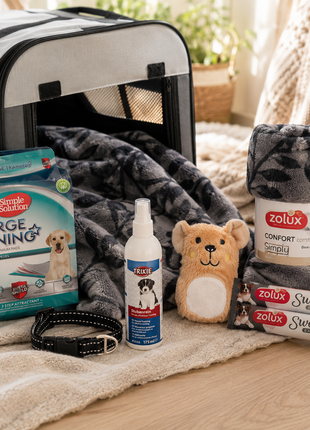 Fidello puppy pick-up pack – everything you need for the day you pick up your puppy