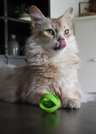 Crazy Cat Wacky Wobbler Grün
