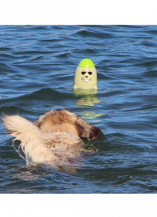 DOOG Seal - Captain Blubber