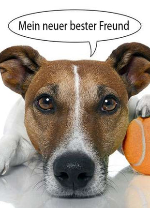 Doggy Fun Ballwurfmaschine