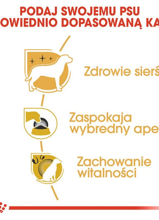 Royal Canin Yorkshire Terrier Adult karma sucha dla psów dorosłych rasy yorkshire terrier 3kg