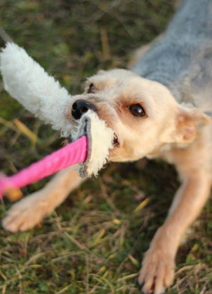 Dingo Zabawka dla psa - Szarpak Wełna owcza z rączką bungee różowy