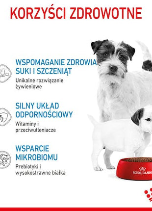 Royal Canin Mini Starter Mother&Babydog karma sucha dla szczeniąt do 2 miesiąca i suk karmiących ras małych 4kg